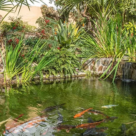 Casablanca 35 Oasis Daire