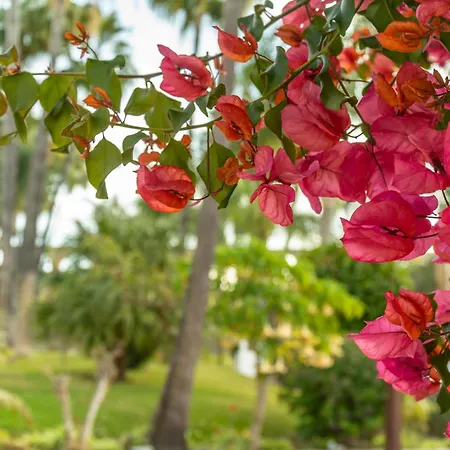 Apartman Casablanca 35 Oasis Nerja