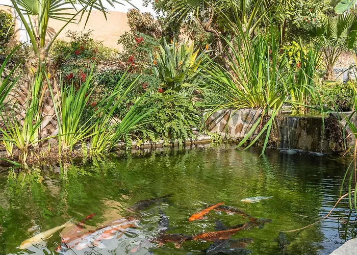 Casablanca 35 Oasis Apartment